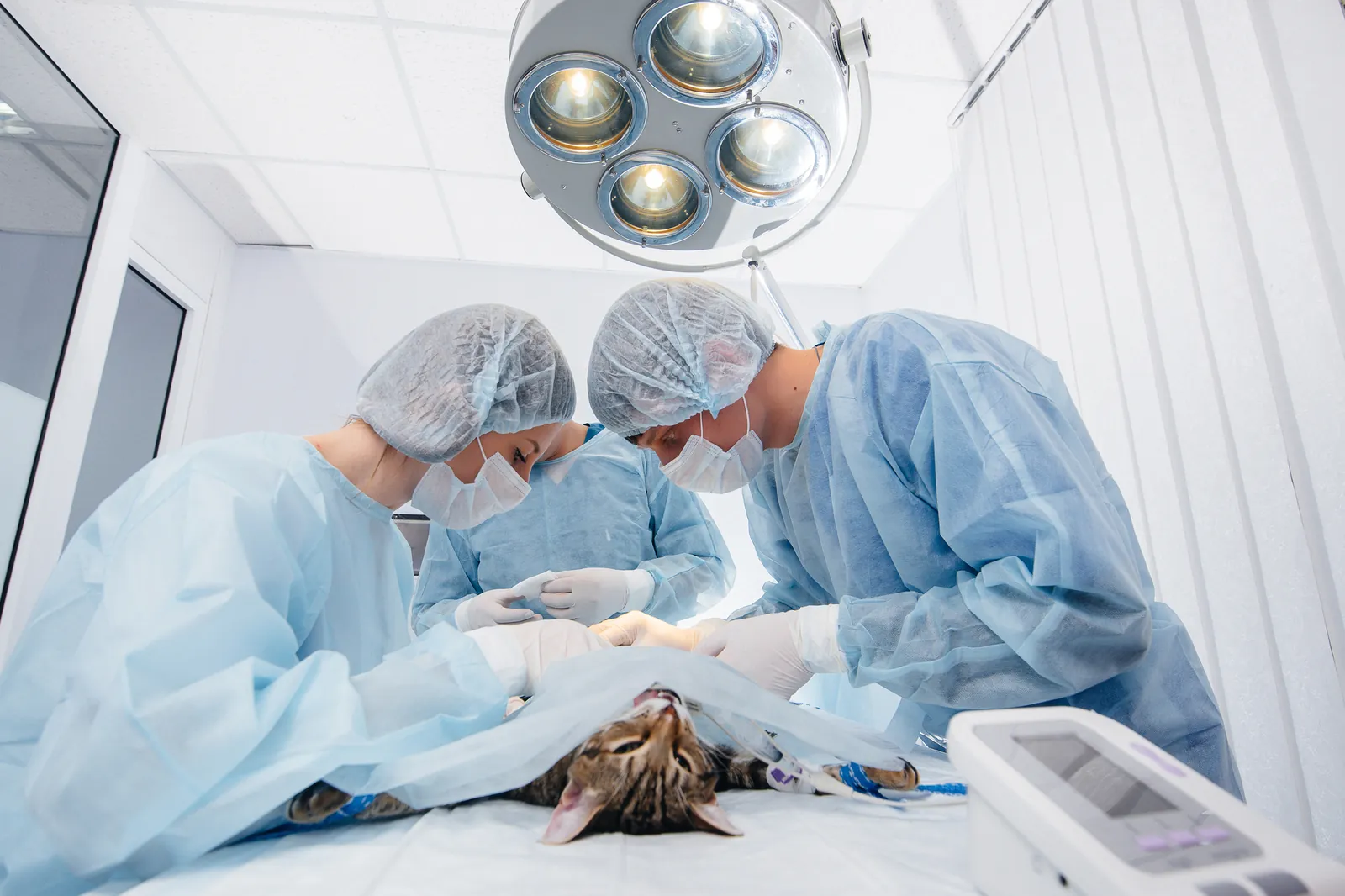 OP-Team in steriler Kleidung während eines Eingriffs unter der OP-Leuchte